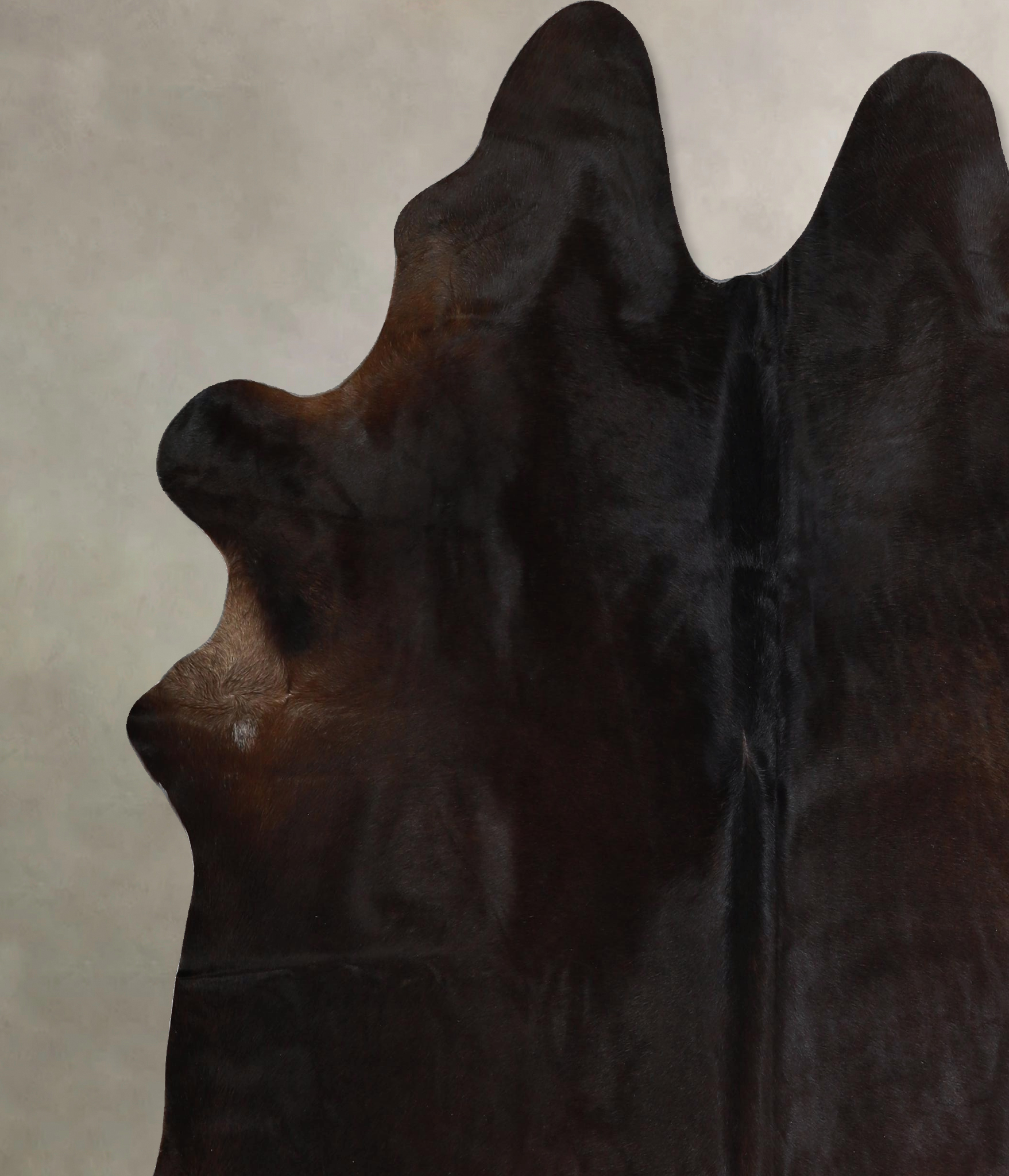 Chocolate Cowhide Rug #A44398