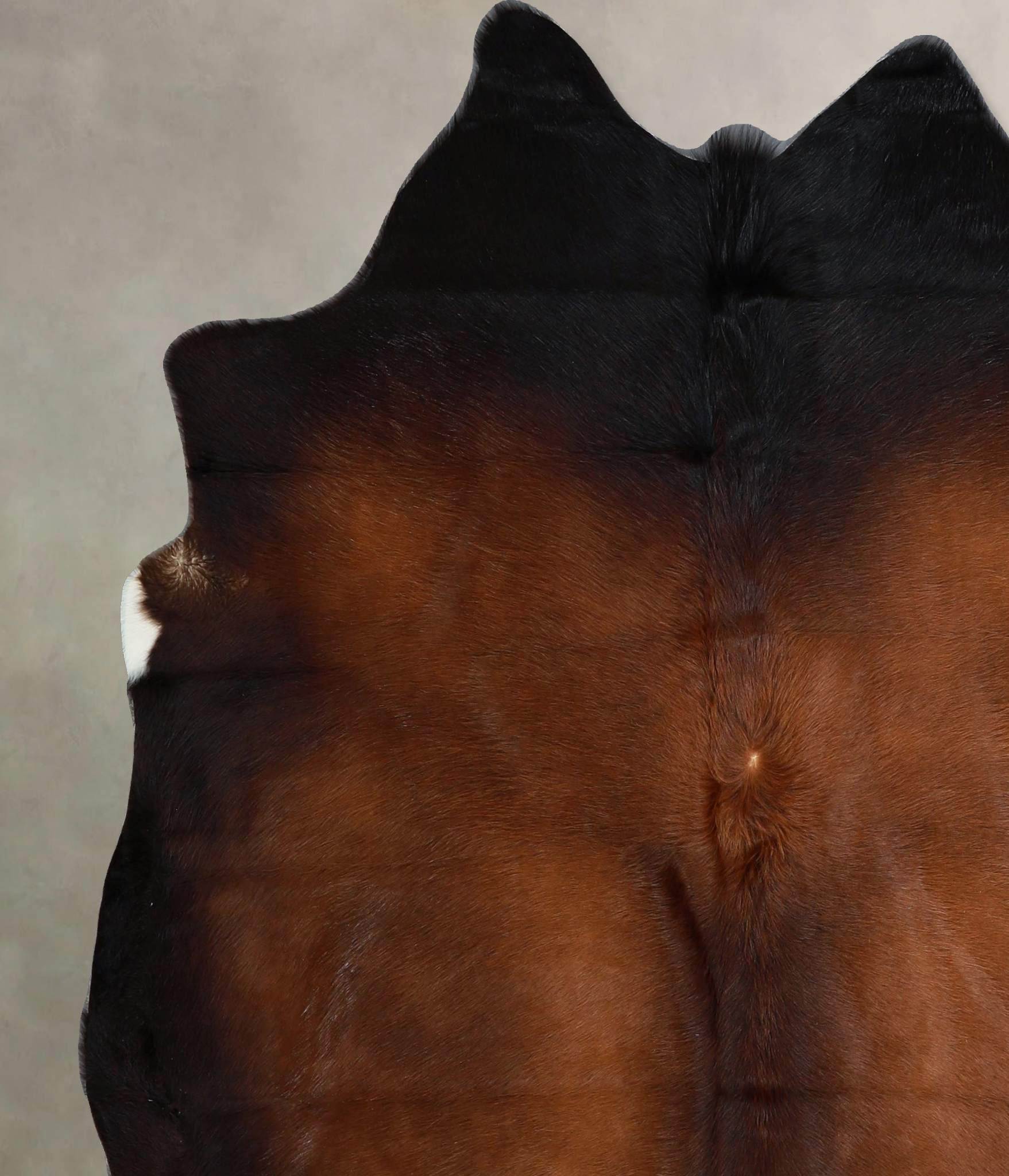 Chocolate Cowhide Rug #A44411