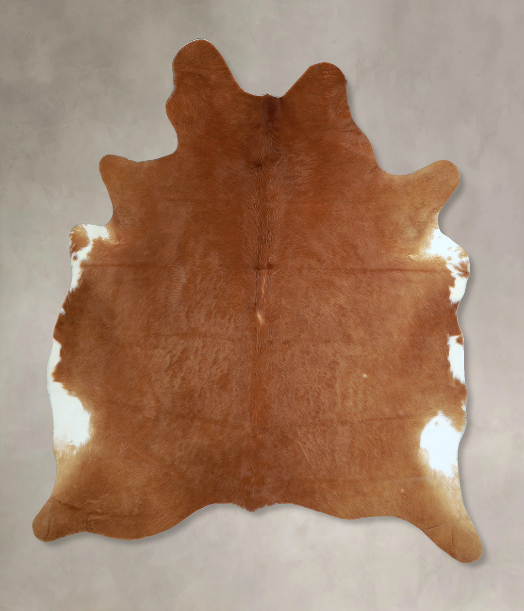 Solid Brown X-Large Brazilian Cowhide Rug 7'0"H x 6'0"W #A44415 by Hud