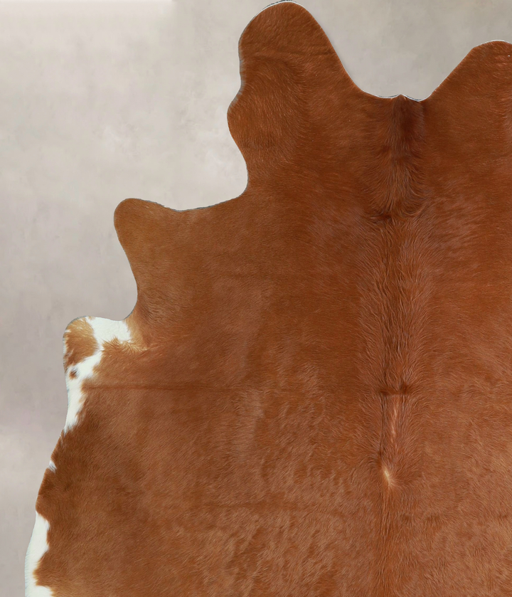 Solid Brown X-Large Brazilian Cowhide Rug 7'0"H x 6'0"W #A44415 by Hudson Hides