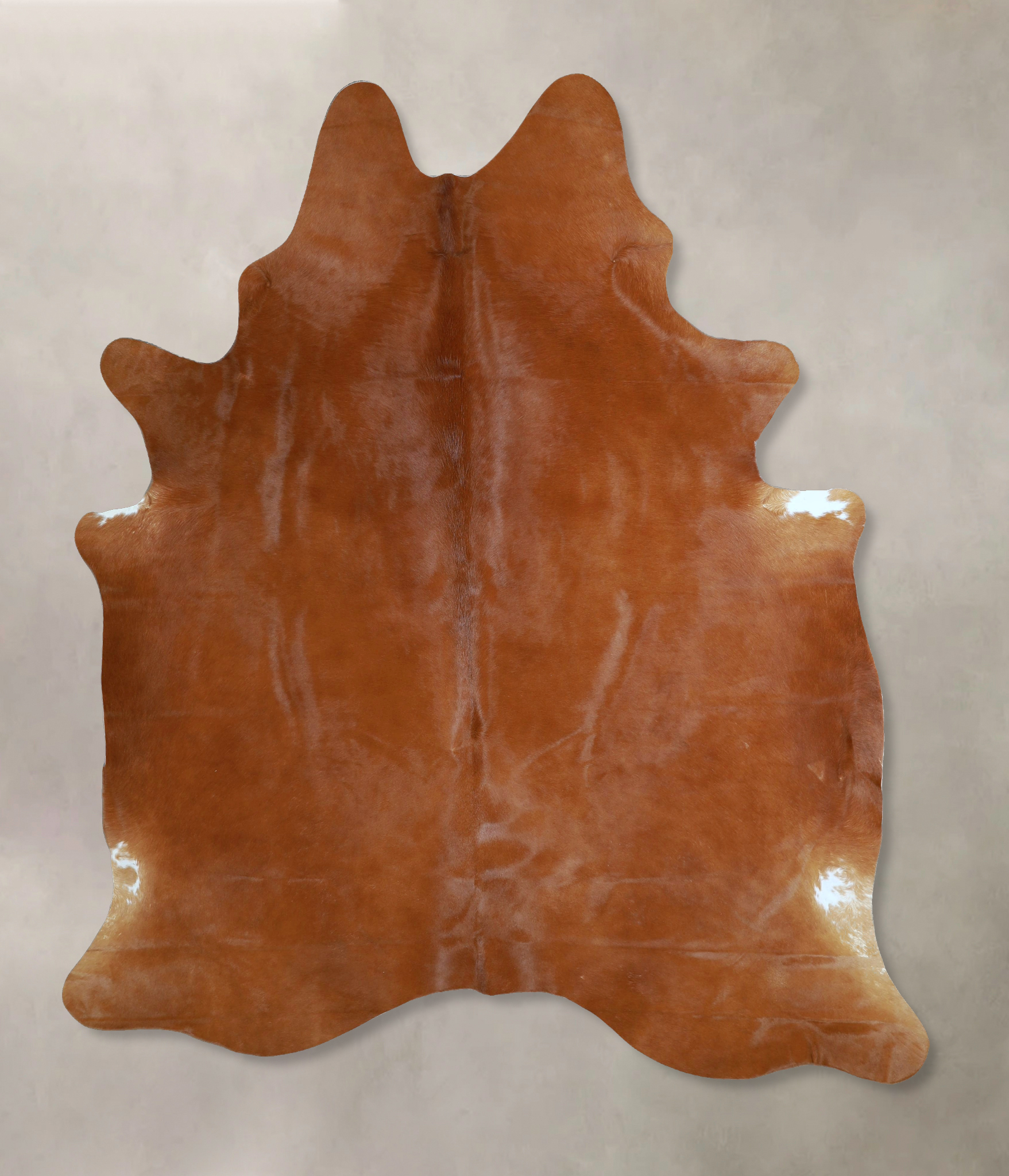 Solid Brown Cowhide Rug #A44423