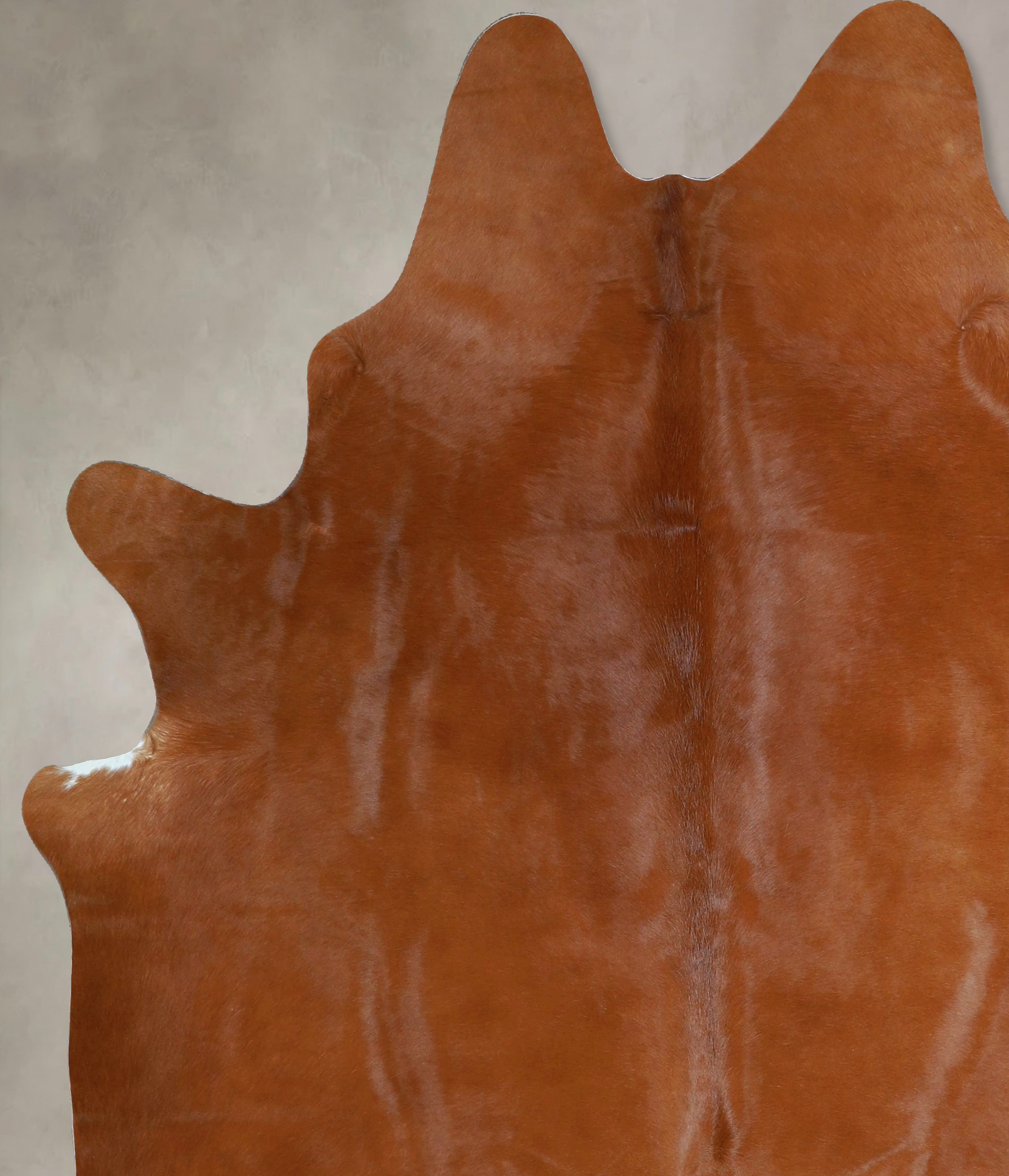 Solid Brown Cowhide Rug #A44423