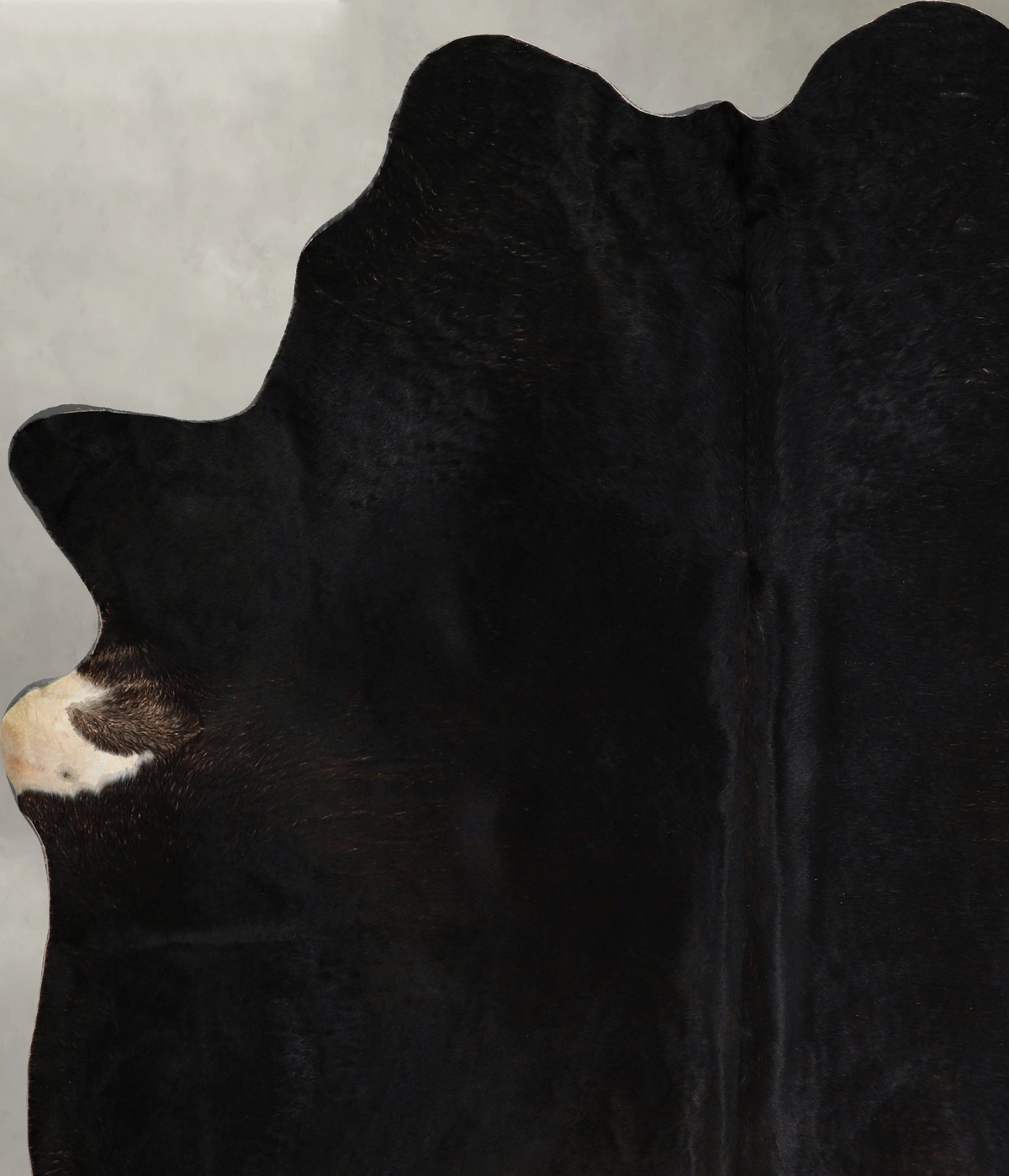 Solid Black XX-Large Brazilian Cowhide Rug 7'7"H x 6'8"W #A44436 by Hudson Hides