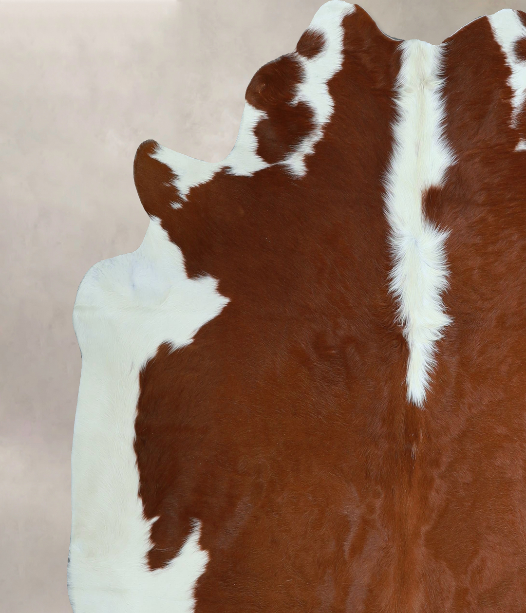 Hereford X-Large Brazilian Cowhide Rug 6'6"H x 6'9"W #A44448 by Hudson