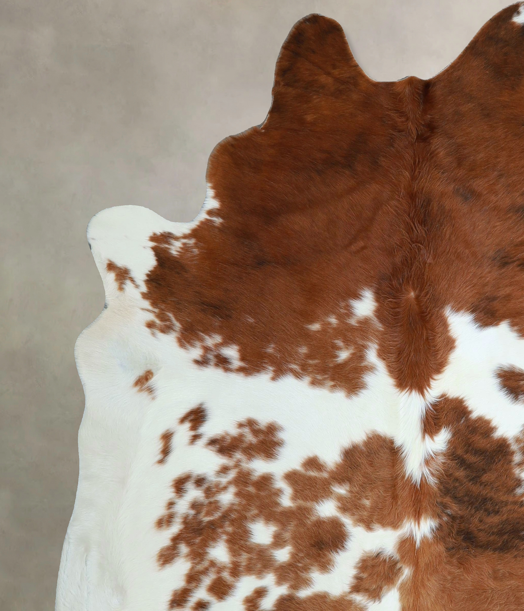 Tricolor X-Large Brazilian Cowhide Rug 7'2"H x 6'4"W #A44451 by Hudson