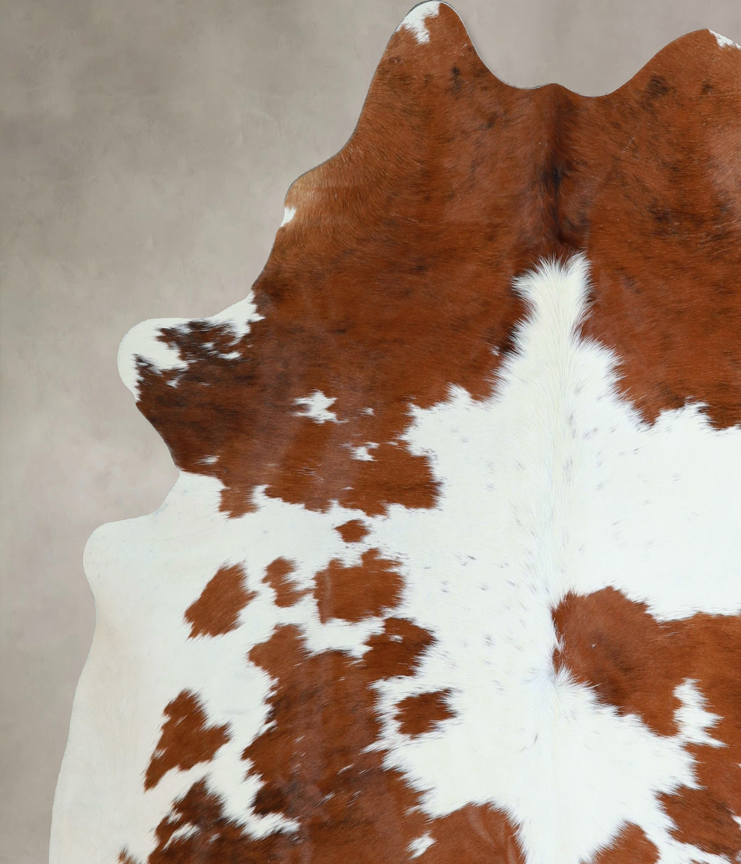 Tricolor X-Large Brazilian Cowhide Rug 7'2"H x 6'3"W #A44452 by Hudson
