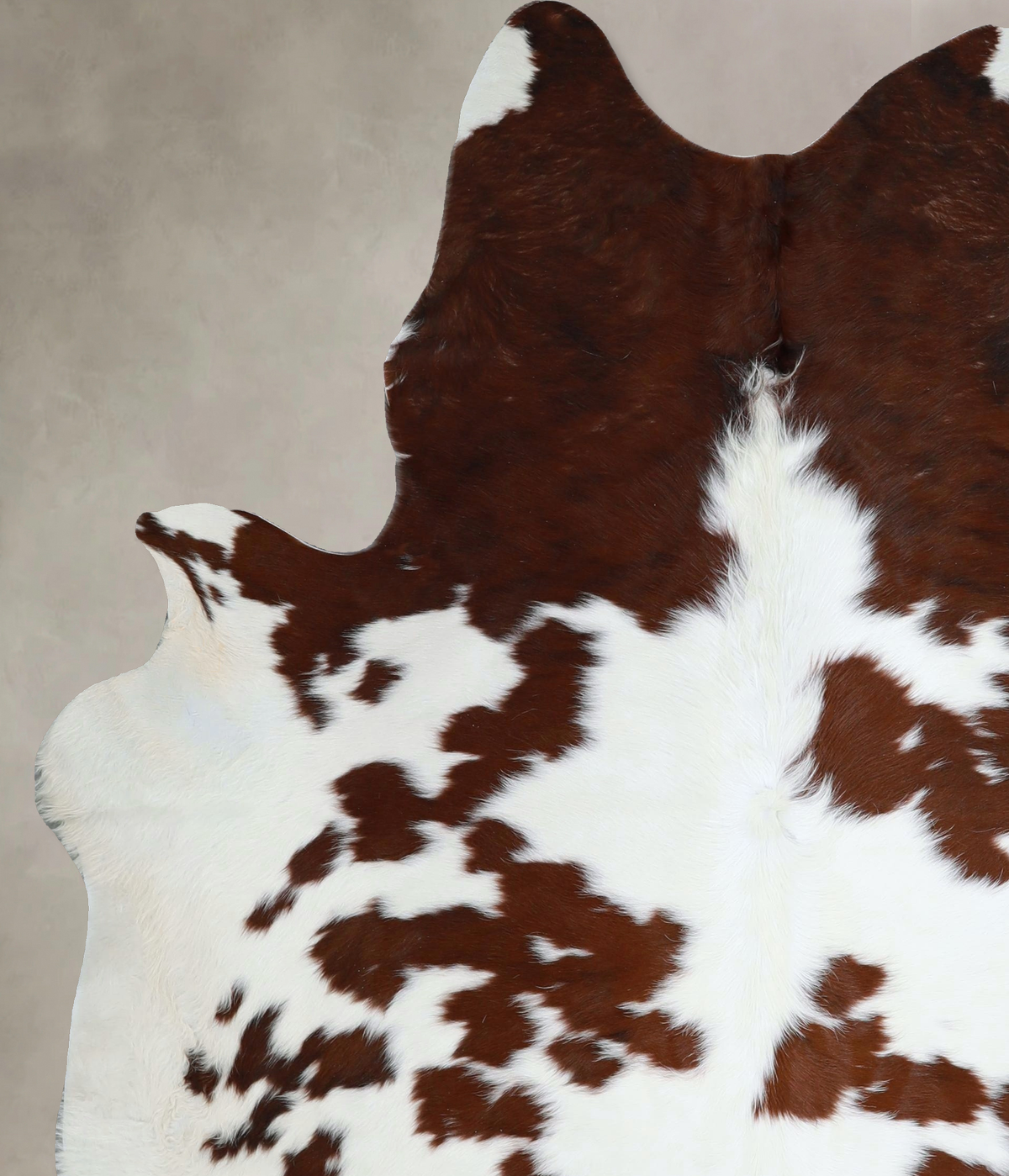 Brown and White X-Large Brazilian Cowhide Rug 7'3"H x 5'11"W #A44453 by Hudson Hides