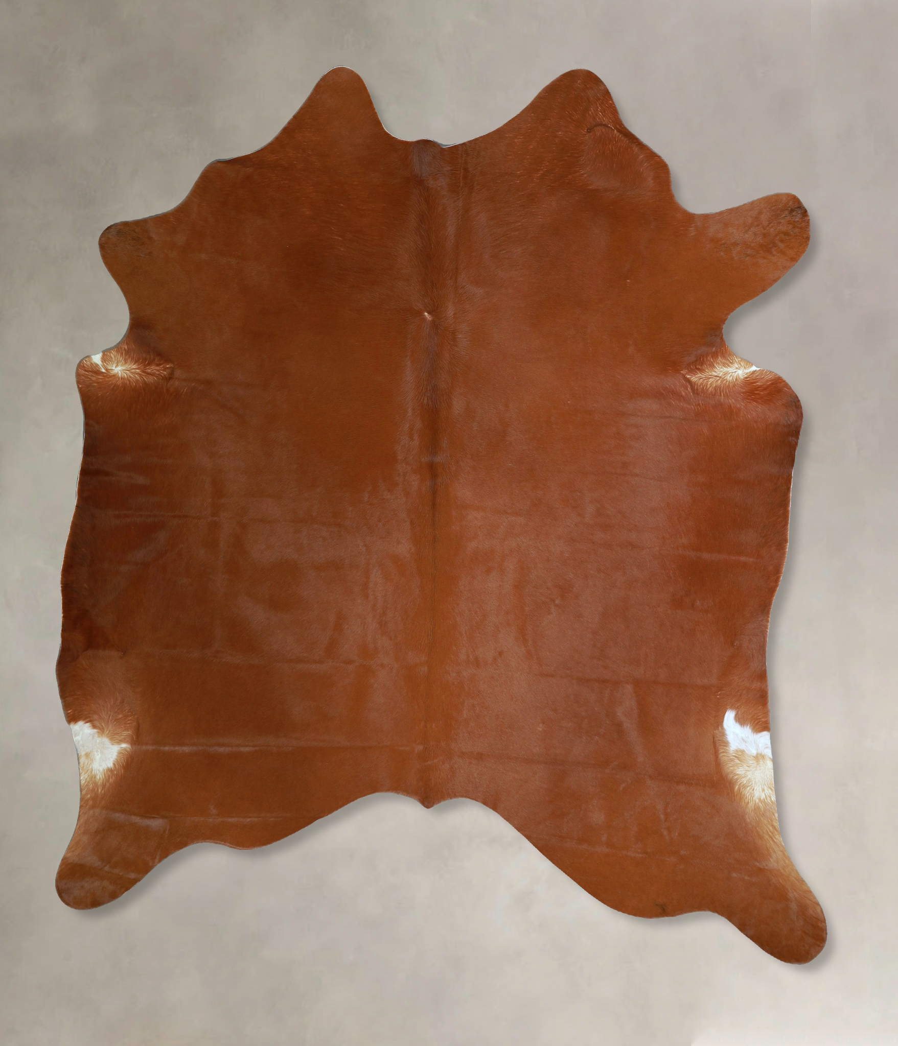Solid Brown Cowhide Rug #A44479