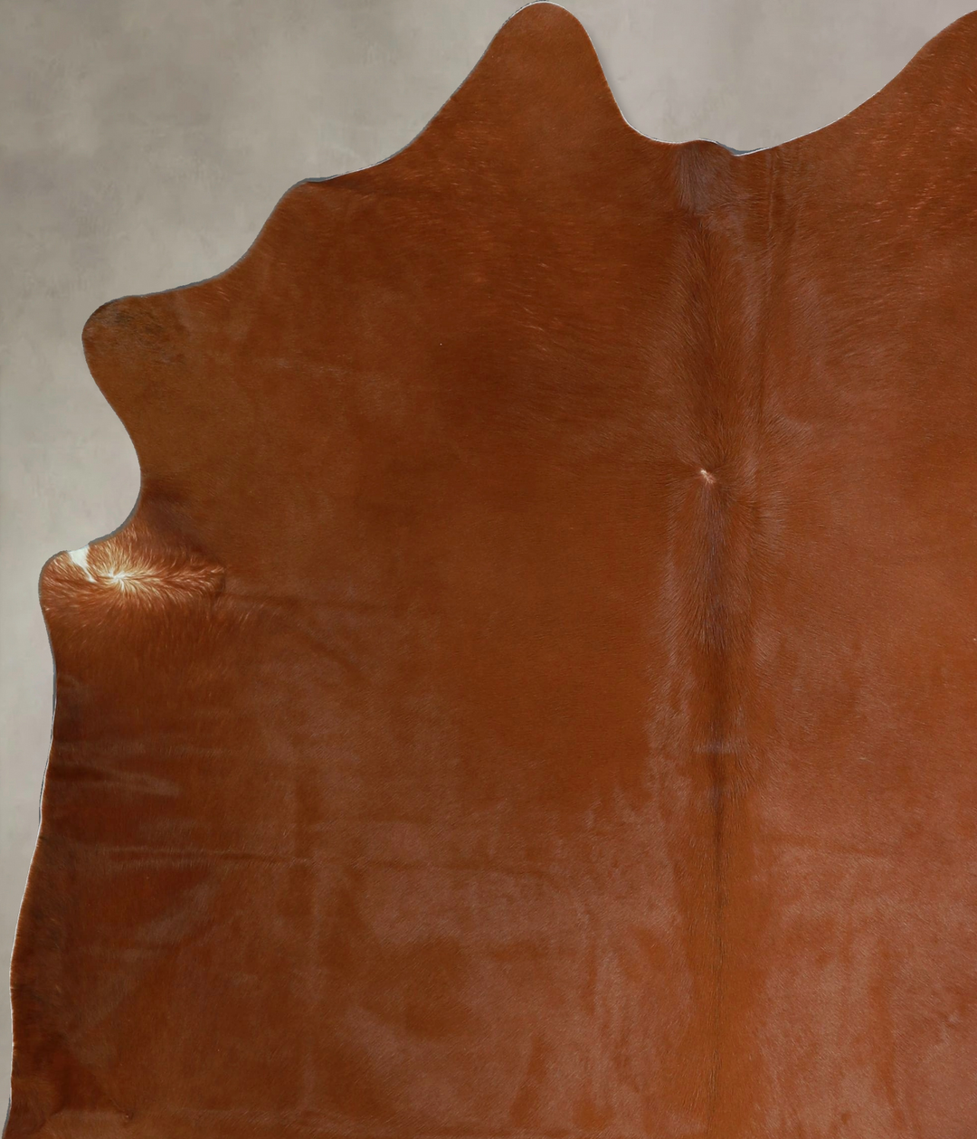 Solid Brown X-Large Brazilian Cowhide Rug 6'11"H x 6'0"W #A44479 by Hu