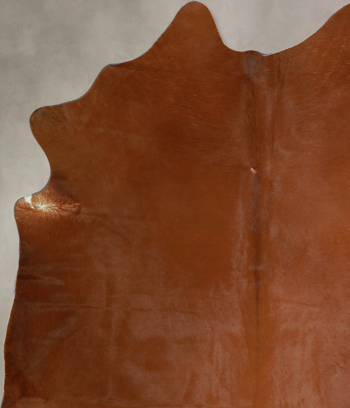 Solid Brown X-Large Brazilian Cowhide Rug 6'11"H x 6'0"W #A44479 by Hudson Hides