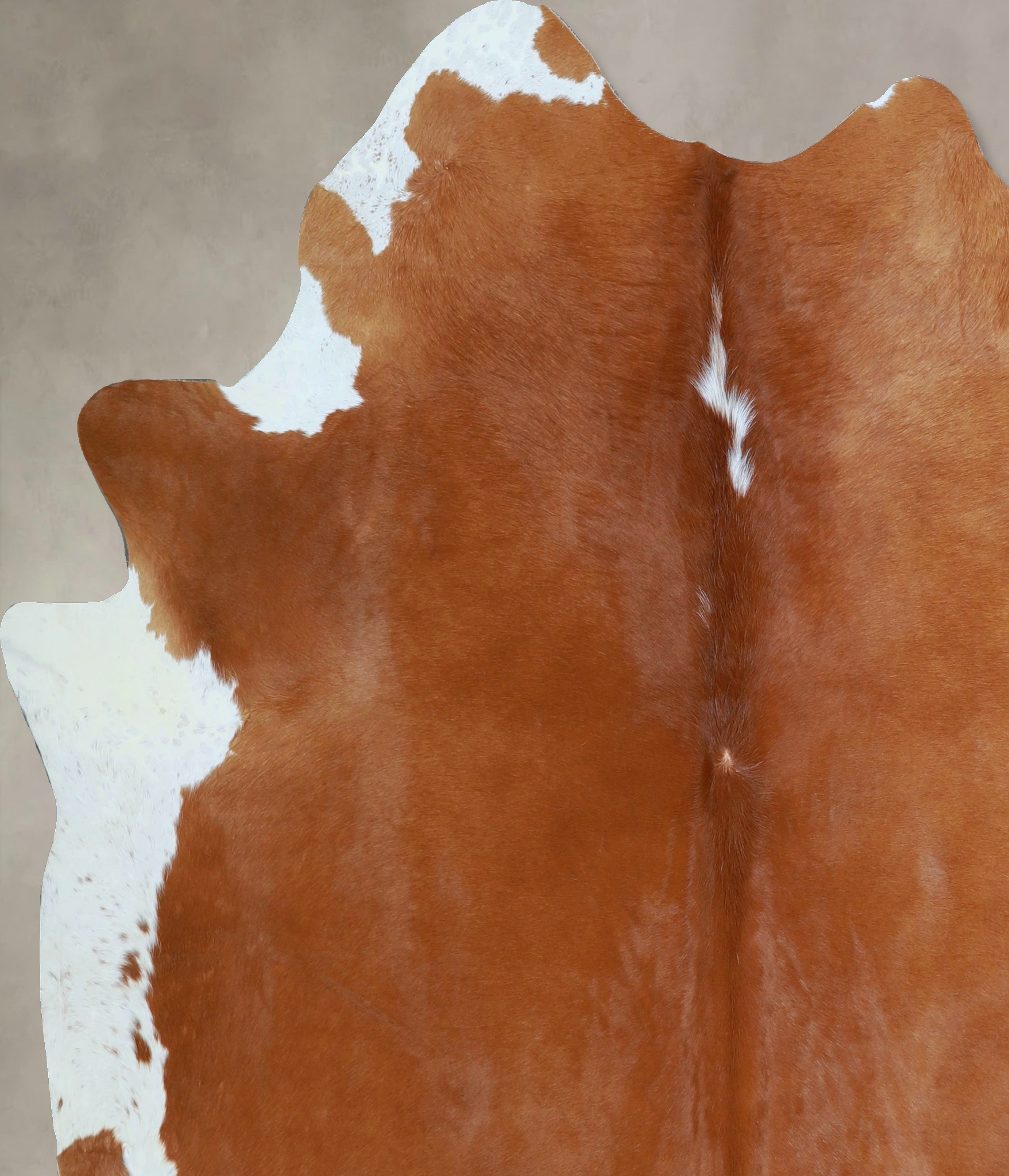 Brown and White Regular Cowhide Rug #A44480