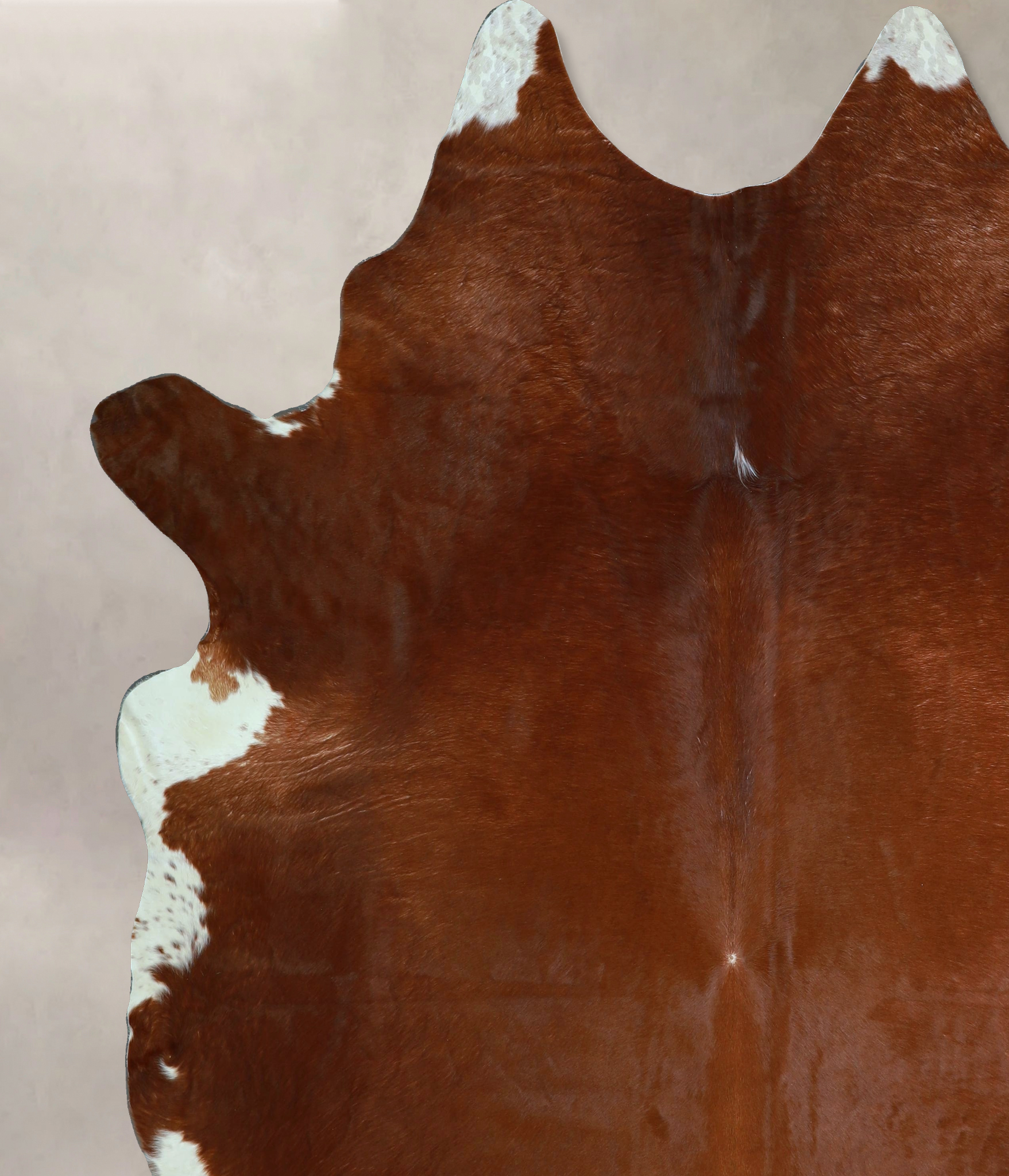 Brown and White Regular Cowhide Rug #A44483