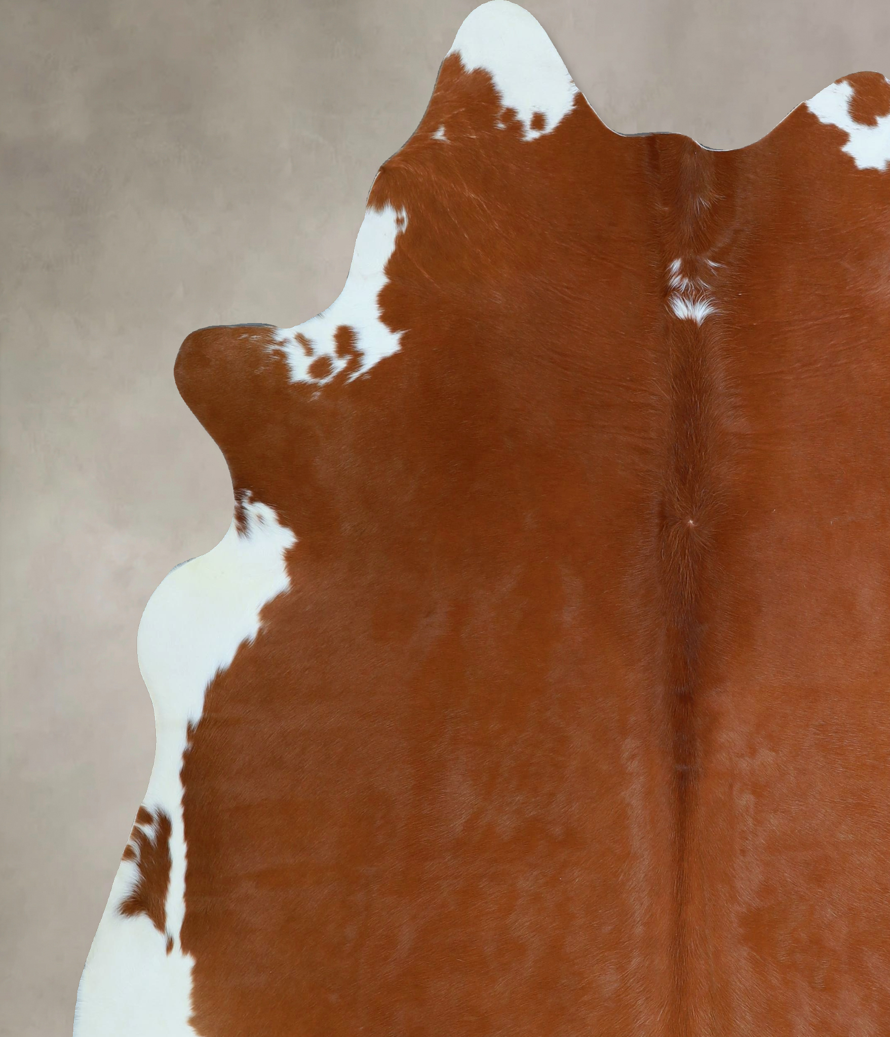 Brown and White Regular Cowhide Rug #A44484