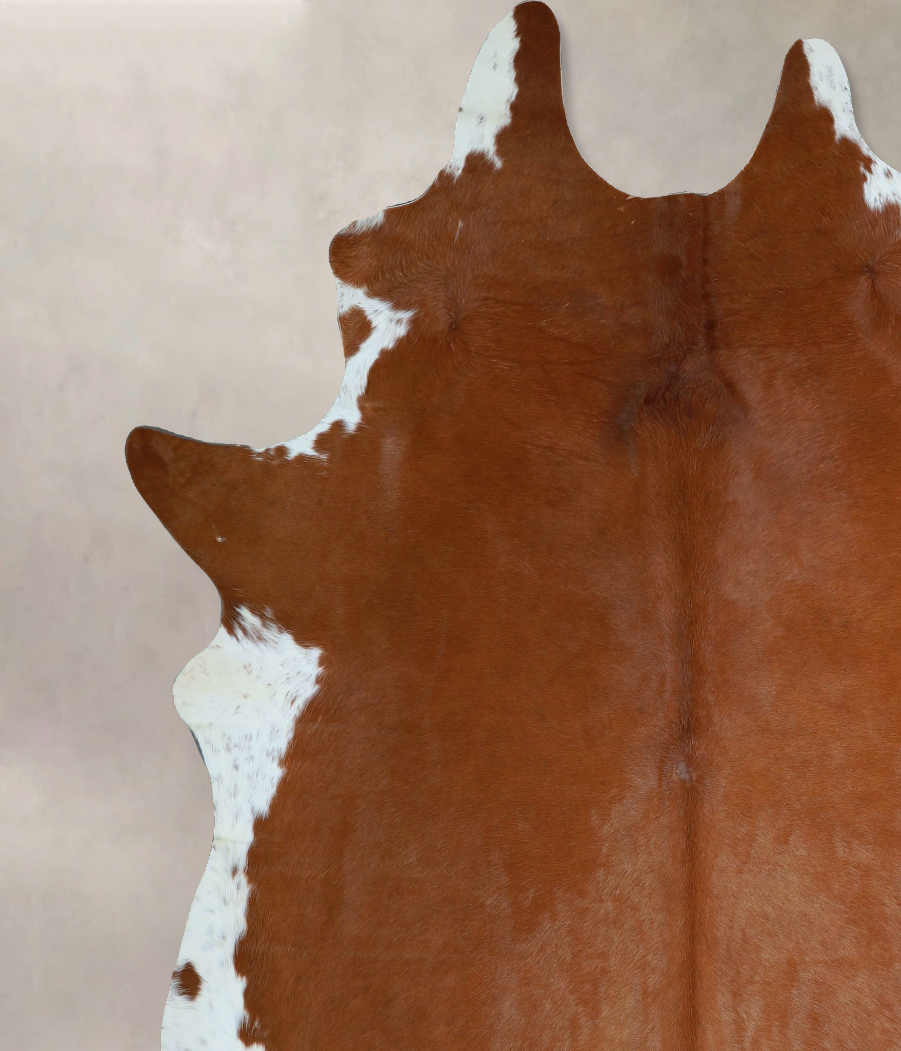 Brown and White Regular Cowhide Rug #A44485