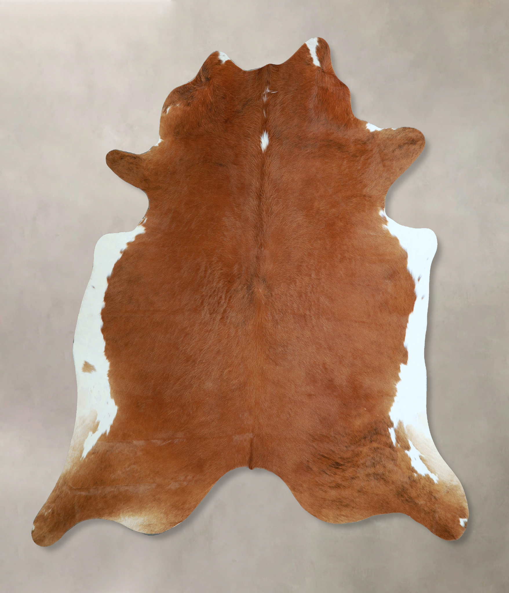 Brown and White Regular Cowhide Rug #A44487