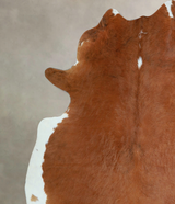 Brown and White Regular X-Large Brazilian Cowhide Rug 7'0"H x 6'8"W #A44487 by Hudson Hides