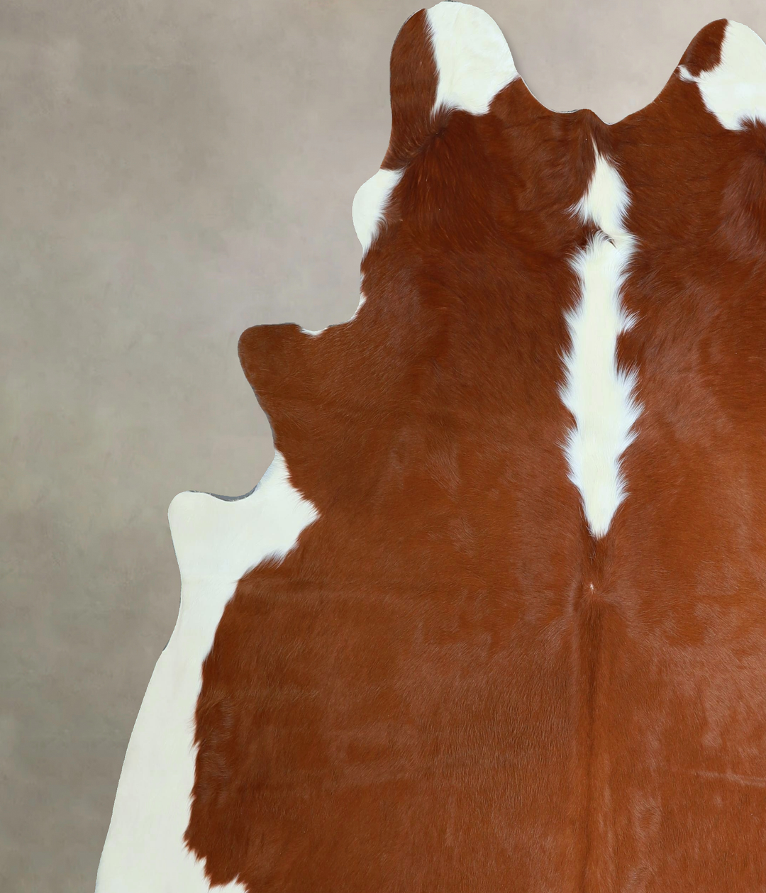 Hereford X-Large Brazilian Cowhide Rug 6'11"H x 6'8"W #A44498 by Hudso