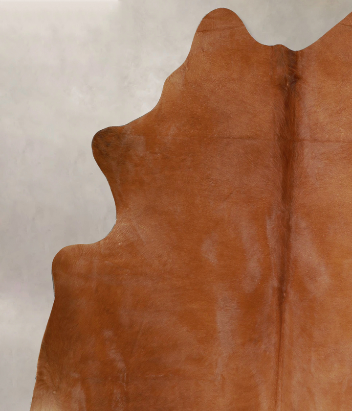 Solid Brown X-Large Brazilian Cowhide Rug 7'0"H x 6'0"W #A44499 by Hudson Hides