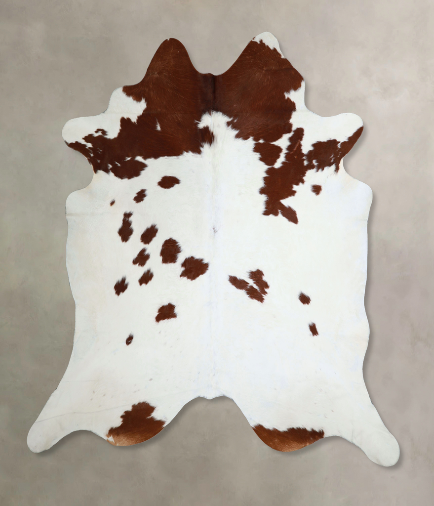 Brown and White XX-Large Brazilian Cowhide Rug 8'3"H x 7'9"W #A44517 by Hudson Hides