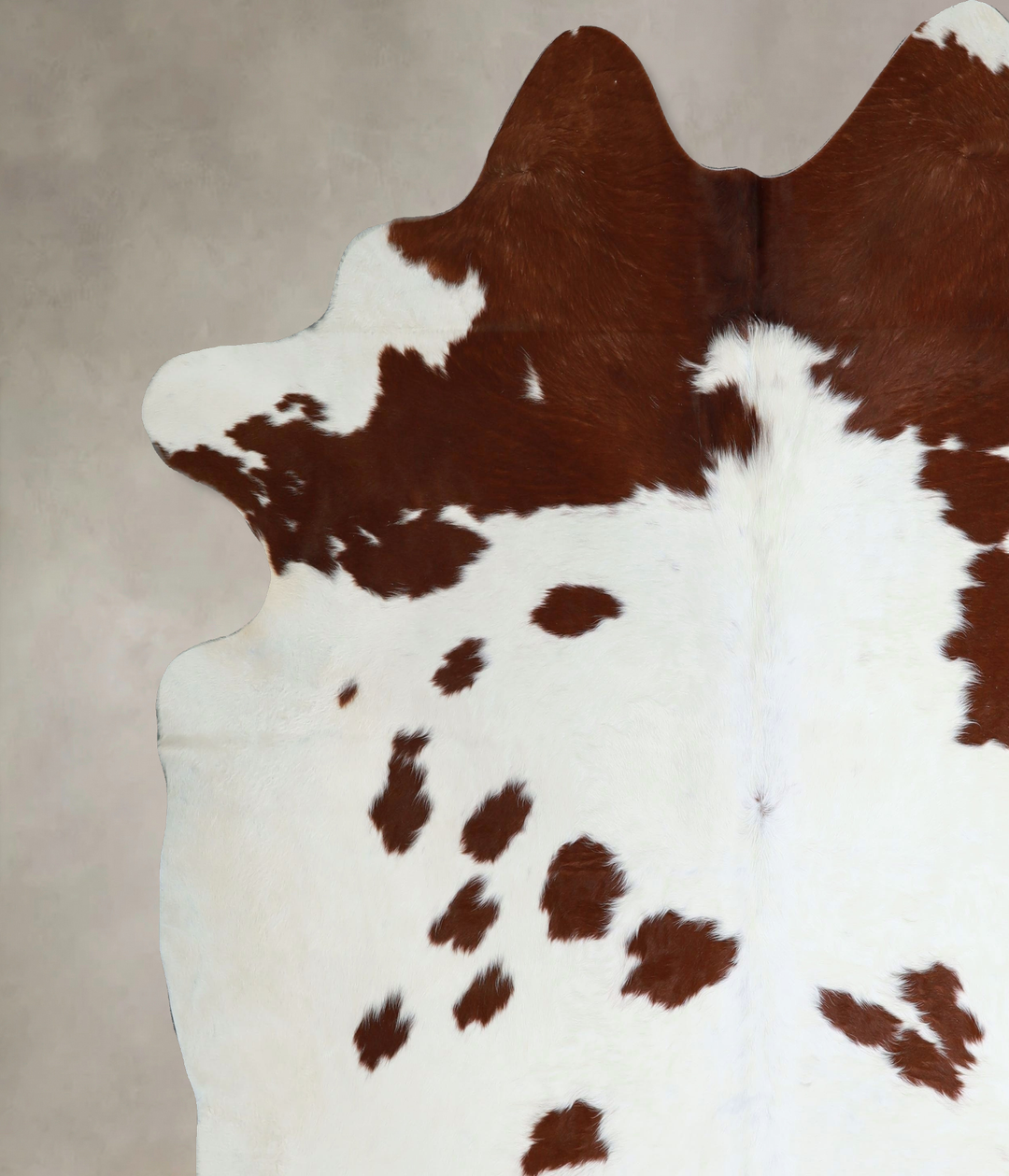 Brown and White XX-Large Brazilian Cowhide Rug 8'3"H x 7'9"W #A44517 b