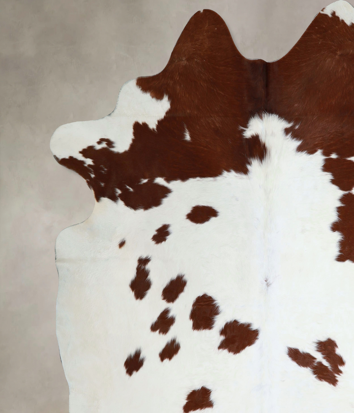 Brown and White XX-Large Brazilian Cowhide Rug 8'3"H x 7'9"W #A44517 by Hudson Hides