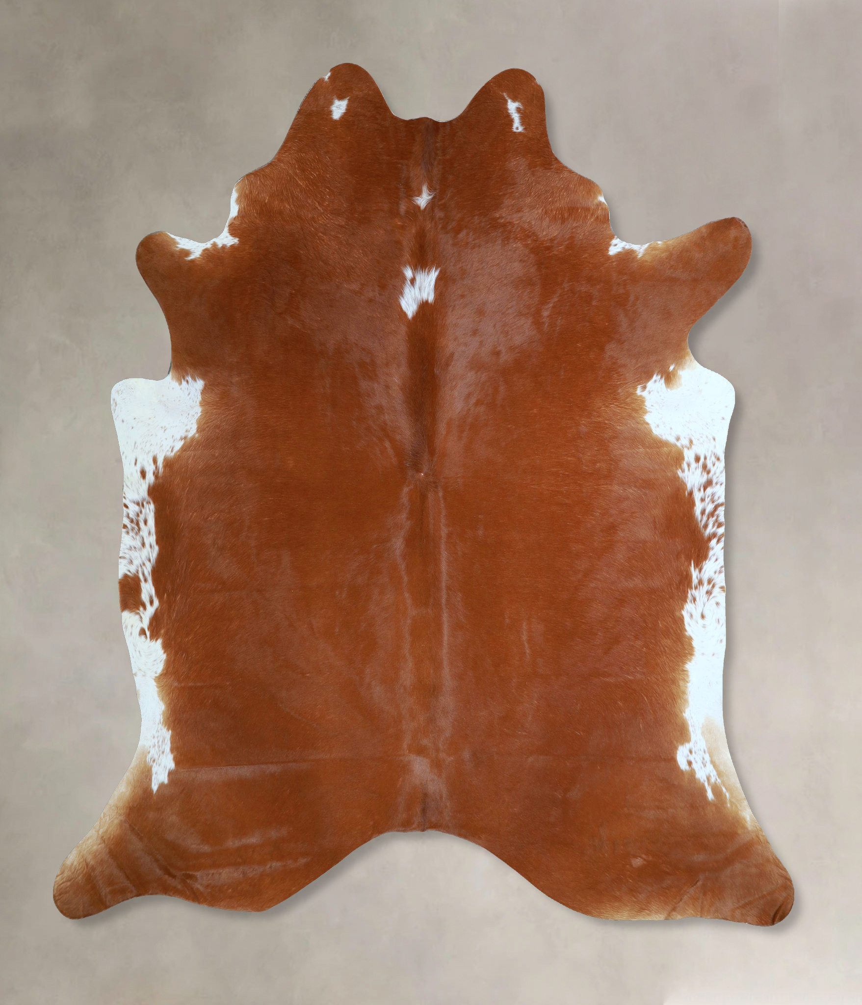 Brown and White Regular Cowhide Rug #A44523
