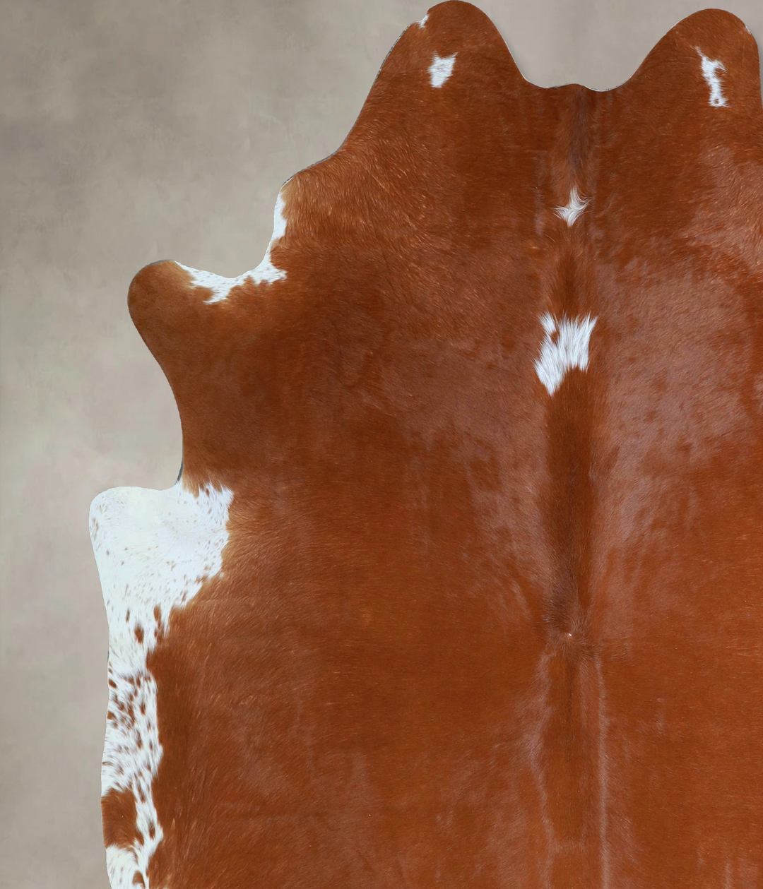 Brown and White Regular X-Large Brazilian Cowhide Rug 6'11"H x 6'4"W #