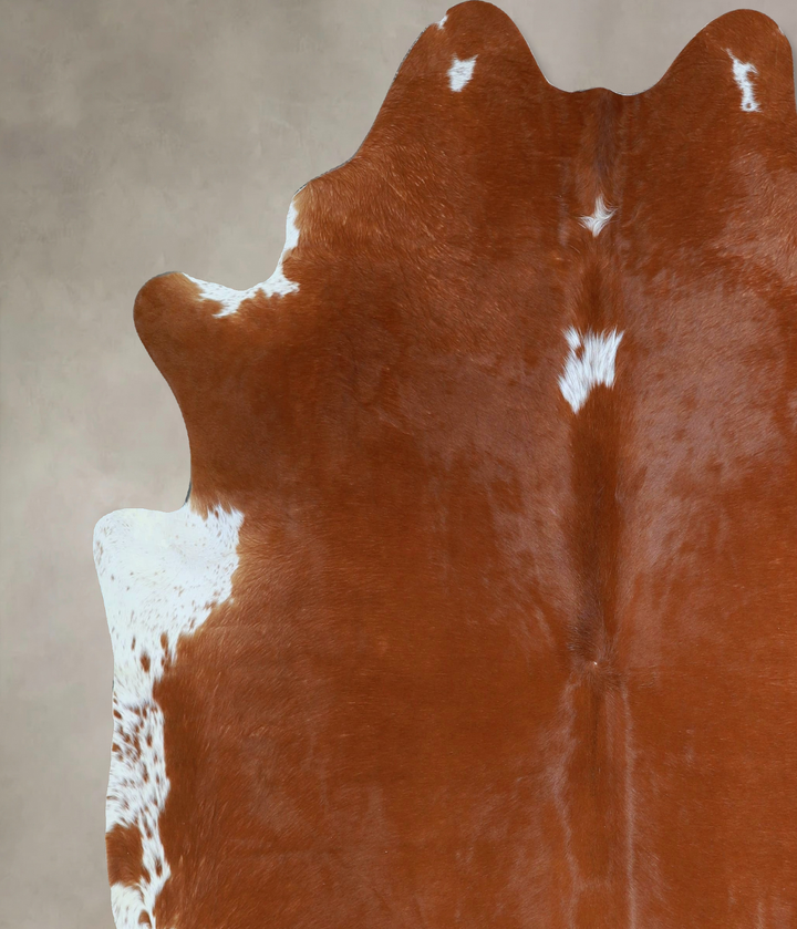 Brown and White Regular X-Large Brazilian Cowhide Rug 6'11"H x 6'4"W #A44523 by Hudson Hides