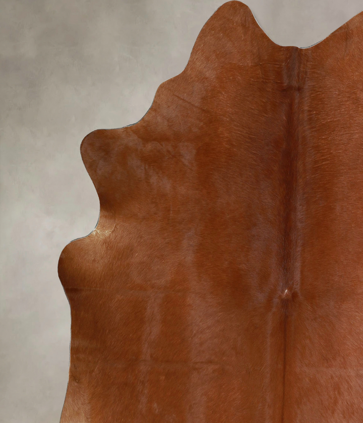 Solid Brown X-Large Brazilian Cowhide Rug 7'3"H x 6'1"W #A44526 by Hudson Hides