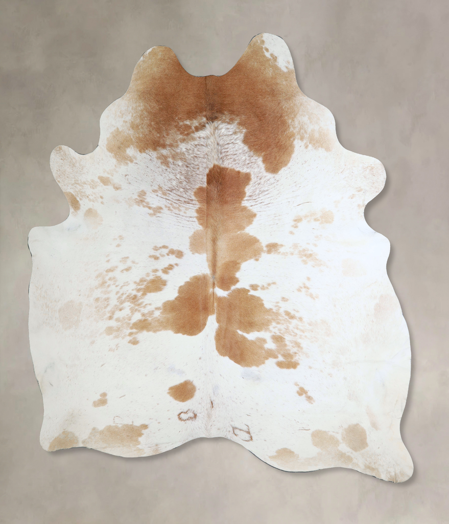 Beige and White XX-Large Brazilian Cowhide Rug 8'2"H x 6'5"W #A44541 by Hudson Hides