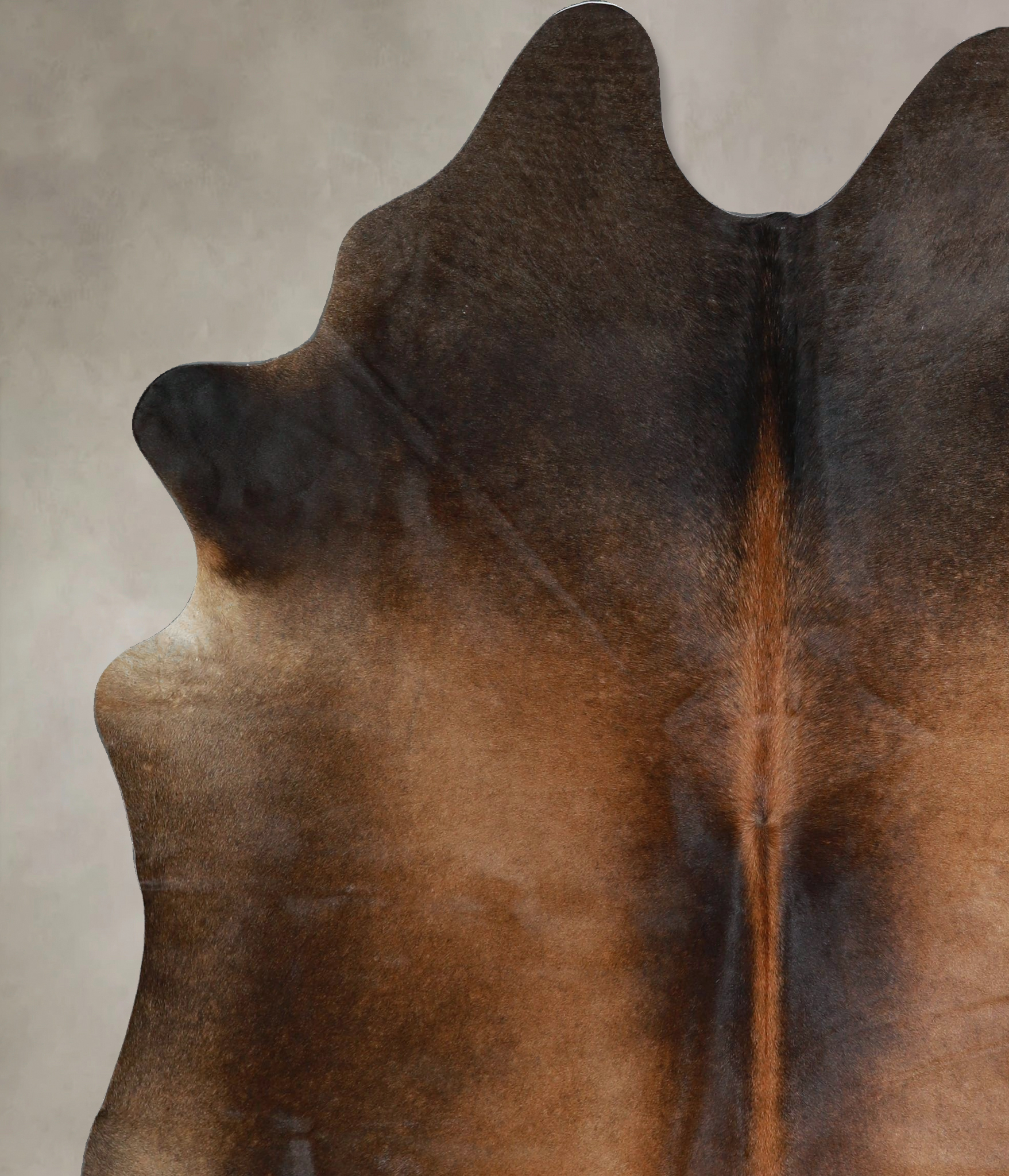 Chocolate Cowhide Rug #A44546