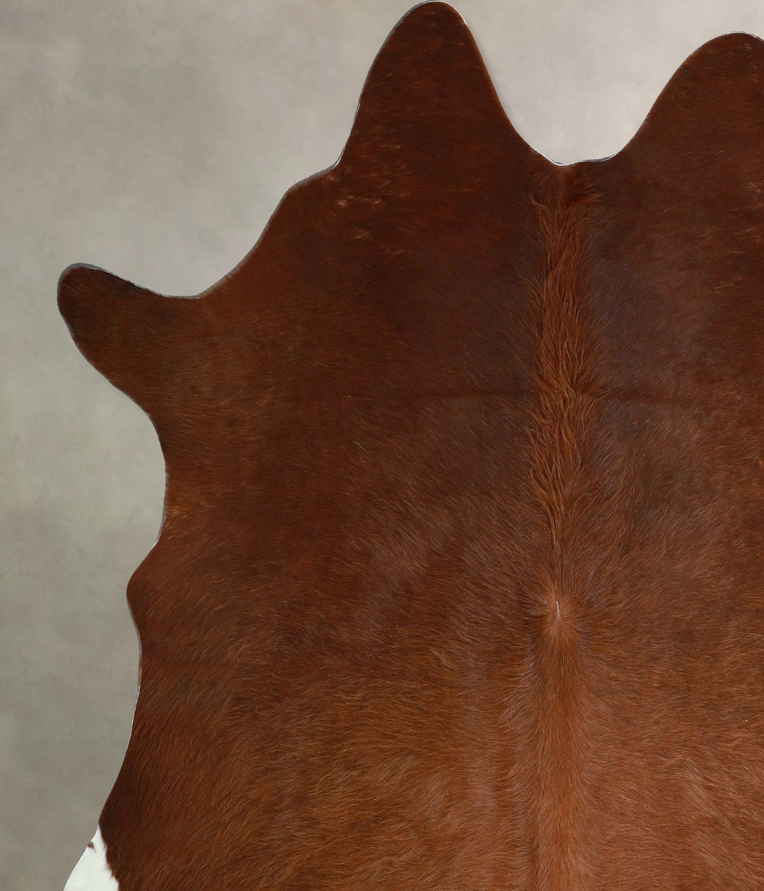 Solid Brown X-Large Brazilian Cowhide Rug 6'11"H x 6'4"W #A44547 by Hu