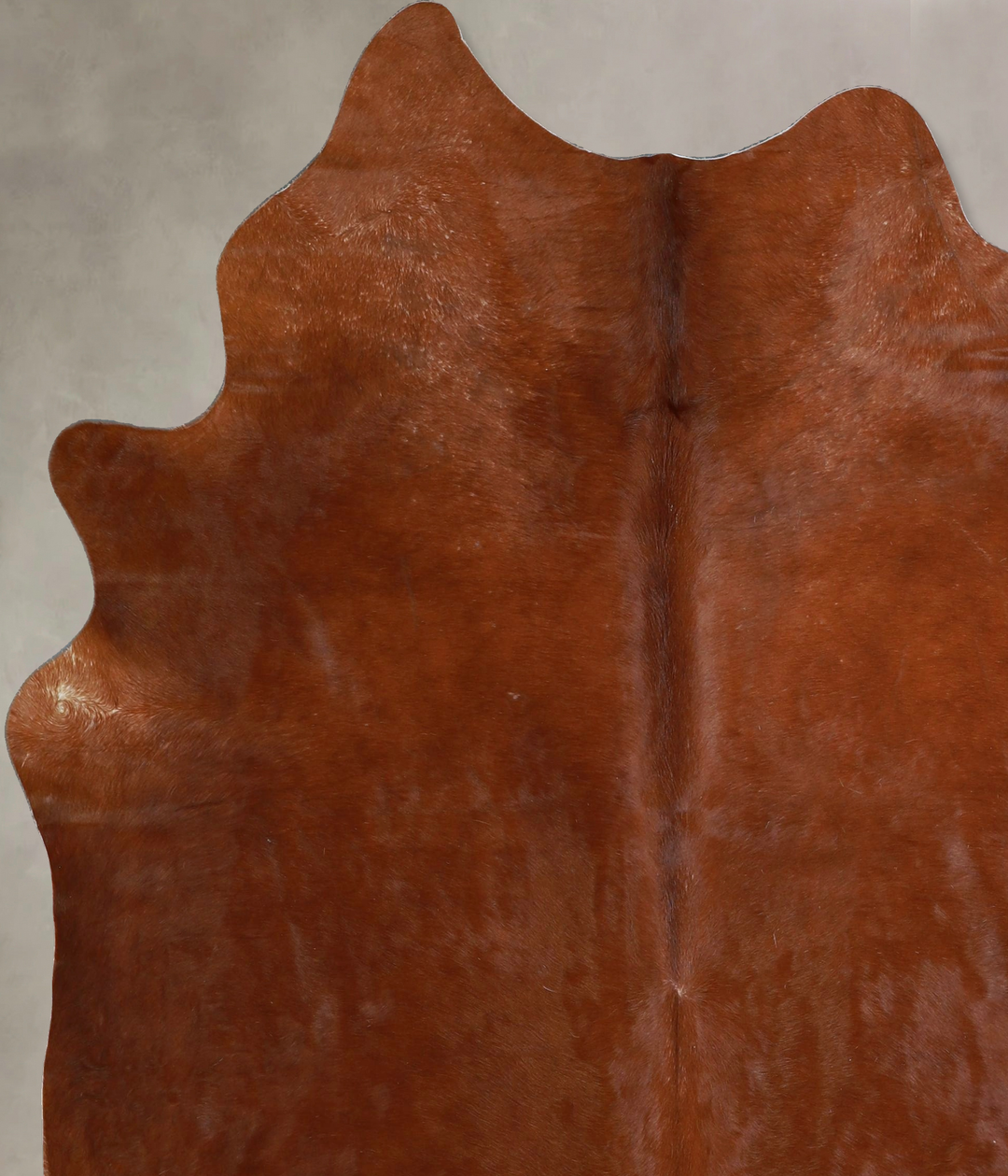Solid Brown X-Large Brazilian Cowhide Rug 7'0"H x 6'0"W #A44563 by Hud