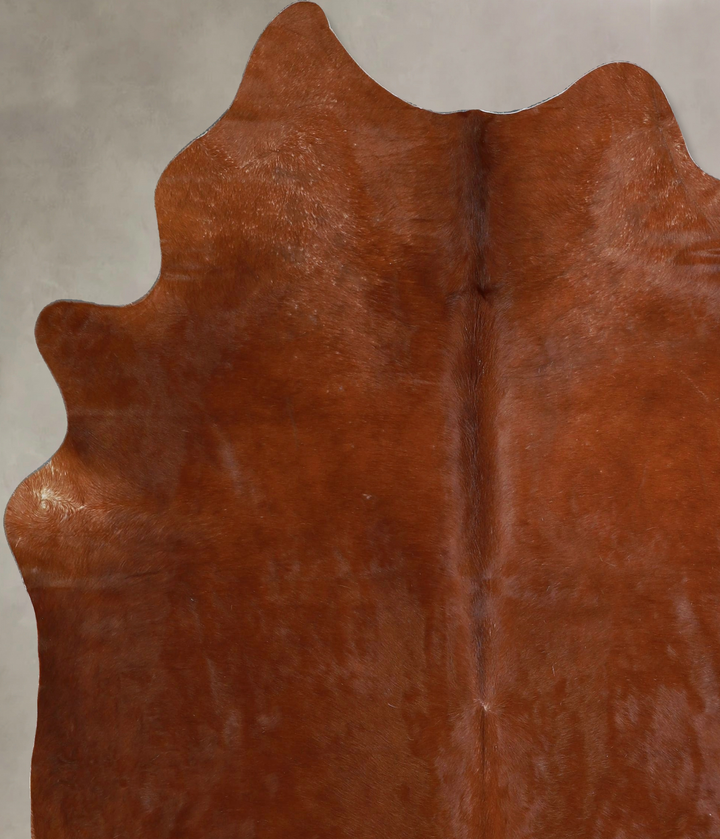 Solid Brown X-Large Brazilian Cowhide Rug 7'0"H x 6'0"W #A44563 by Hudson Hides