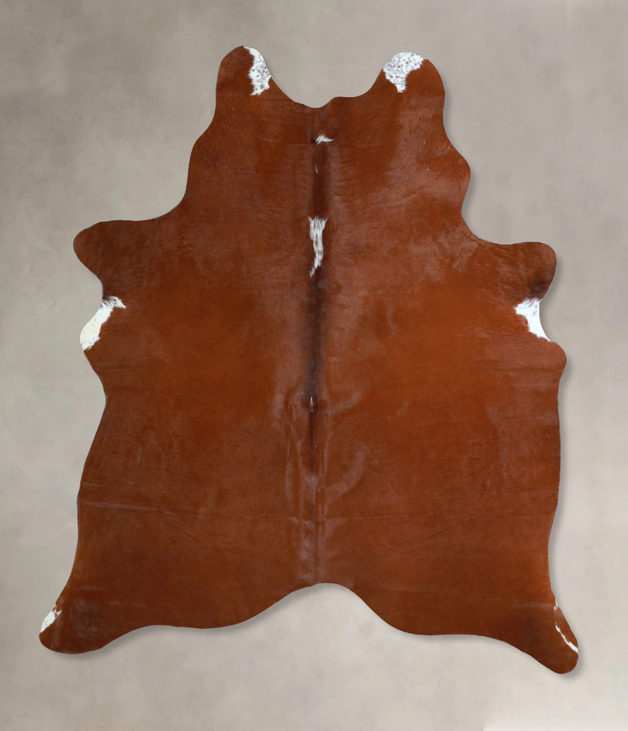 Brown and White Regular Large Brazilian Cowhide Rug 6'3"H x 5'4"W #A44565 by Hudson Hides