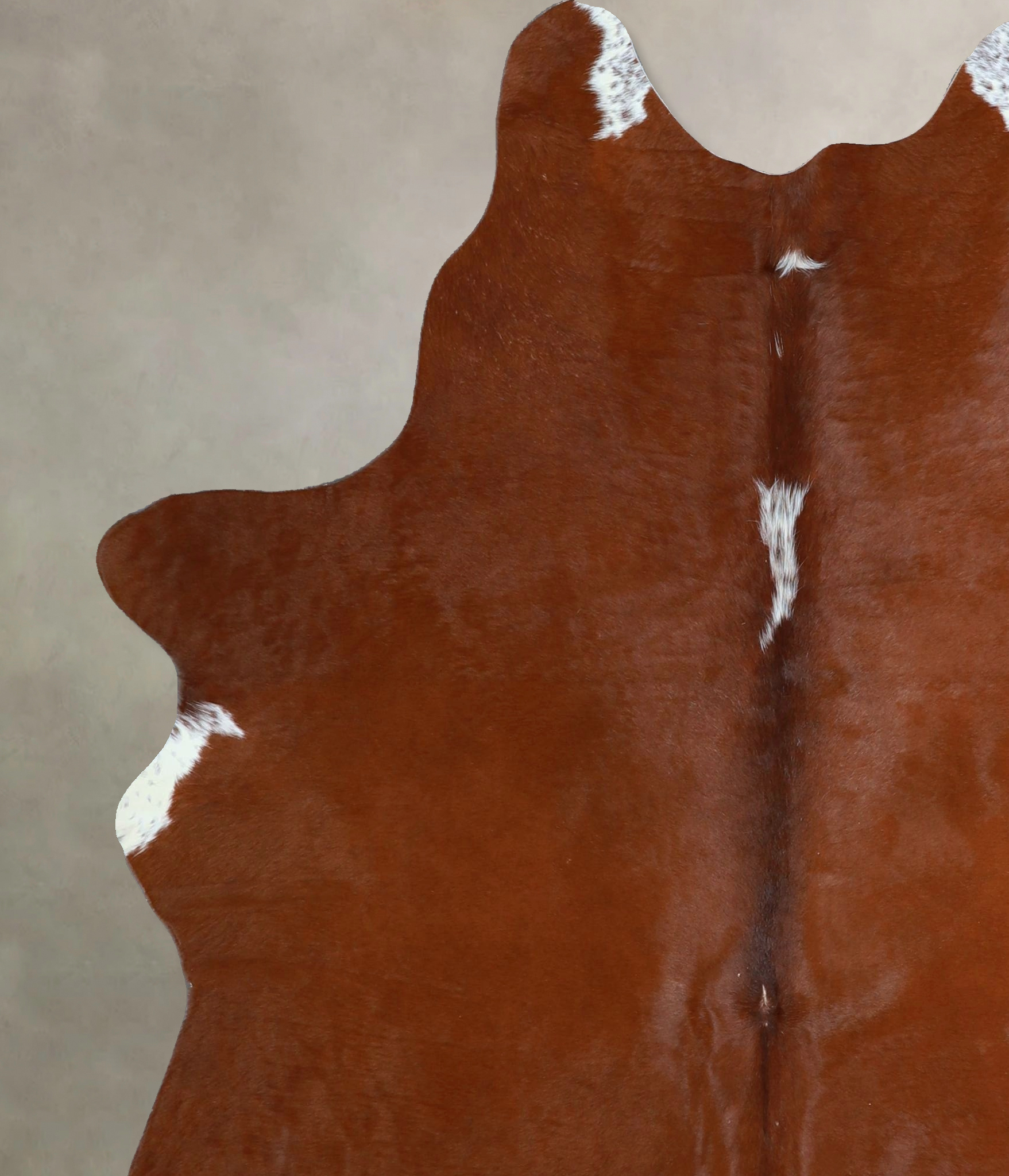 Brown and White Regular Cowhide Rug #A44565