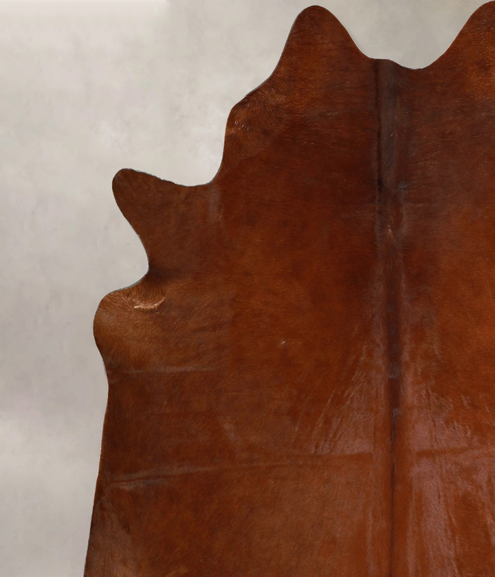 Solid Brown X-Large Brazilian Cowhide Rug 6'6"H x 6'10"W #A44566 by Hudson Hides