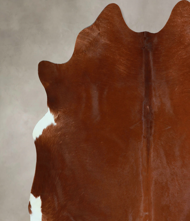 Solid Brown XX-Large Brazilian Cowhide Rug 7'7"H x 7'1"W #A44581 by Hudson Hides