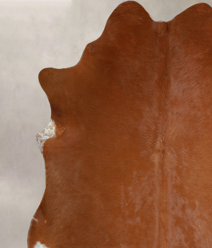 Solid Brown XX-Large Brazilian Cowhide Rug 7'5"H x 7'0"W #A44589 by Hudson Hides