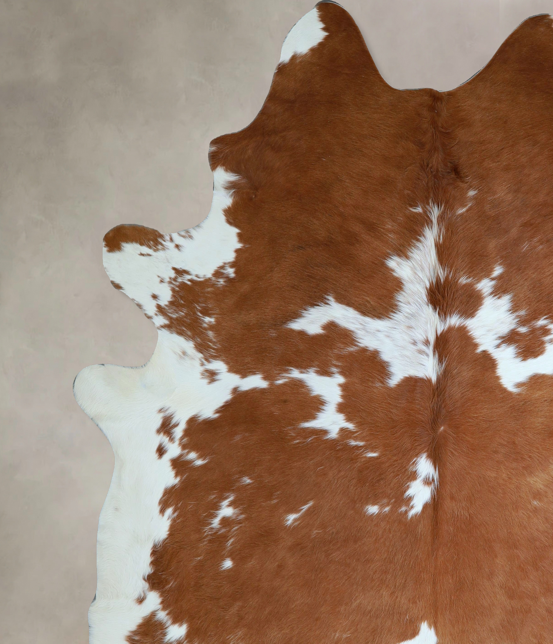 Brown and White Cowhide Rug #A44602