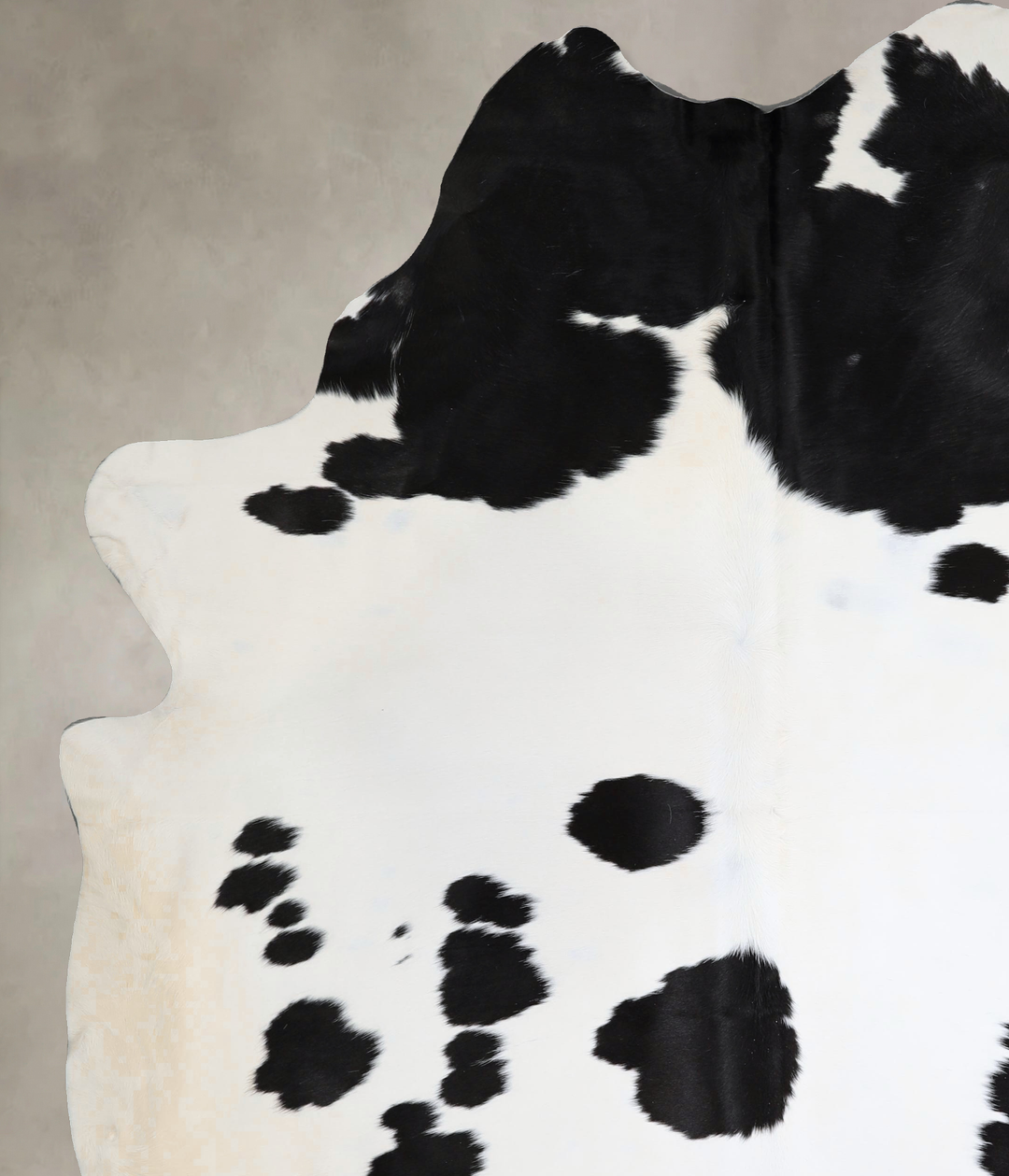 Black and White XX-Large Brazilian Cowhide Rug 8'6"H x 6'8"W #A44618 b