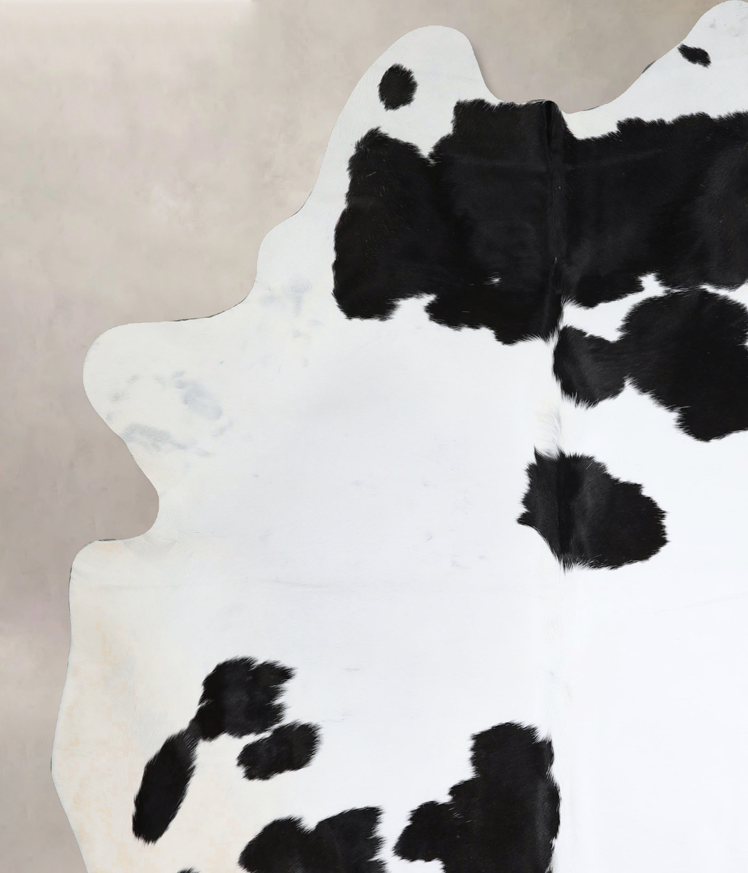 Black and White XX-Large Brazilian Cowhide Rug 8'7"H x 6'10"W #A44621 
