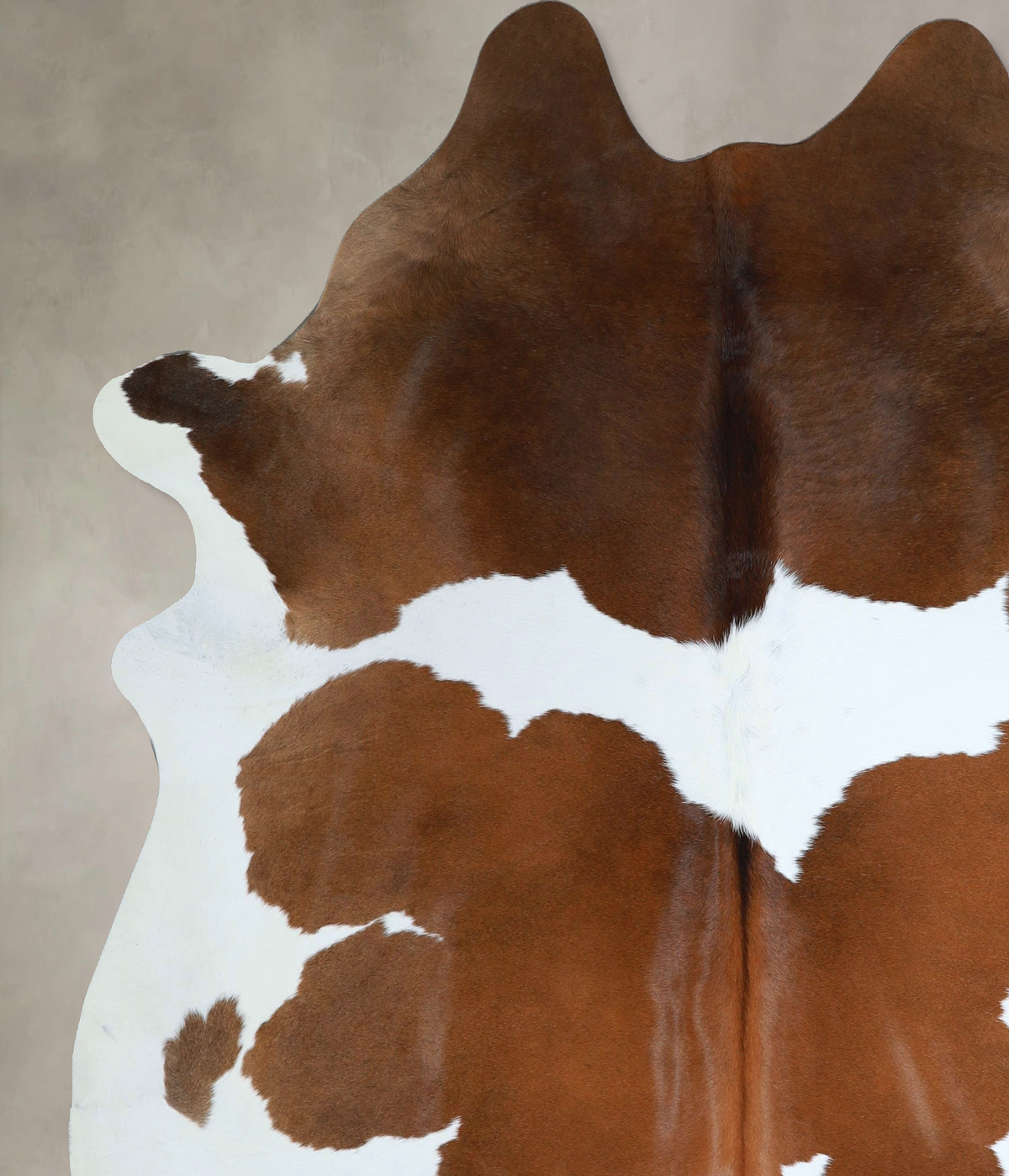 Brown and White XX-Large Brazilian Cowhide Rug 7'8"H x 6'11"W #A44660 by Hudson Hides