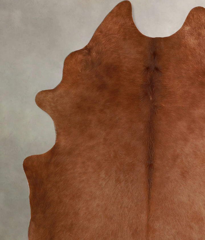 Solid Brown XX-Large Brazilian Cowhide Rug 7'10"H x 6'6"W #A44662 by Hudson Hides