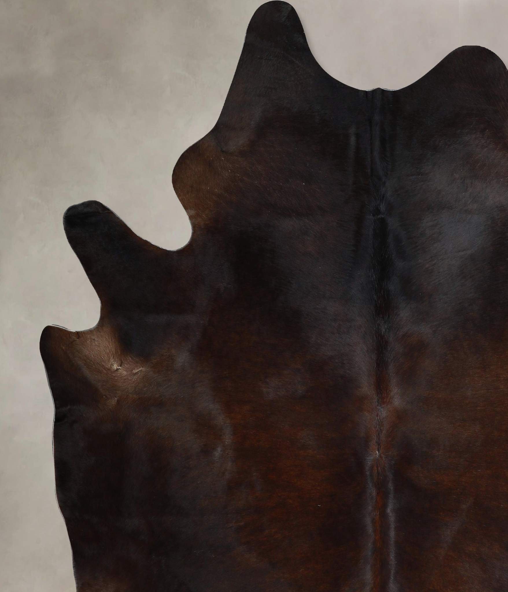 Chocolate Cowhide Rug #A44683