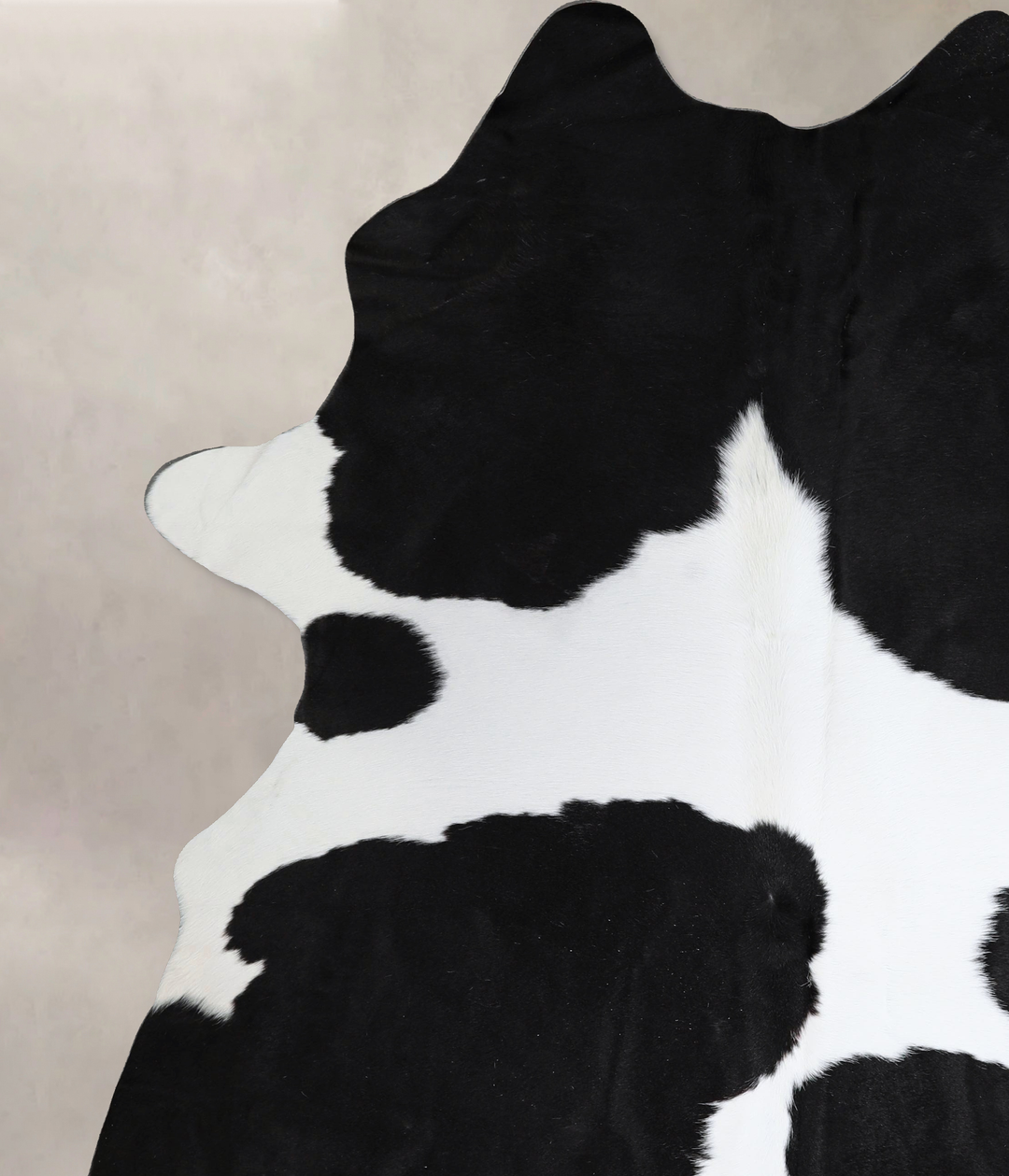 Black and White XX-Large Brazilian Cowhide Rug 8'8"H x 6'10"W #A44693 