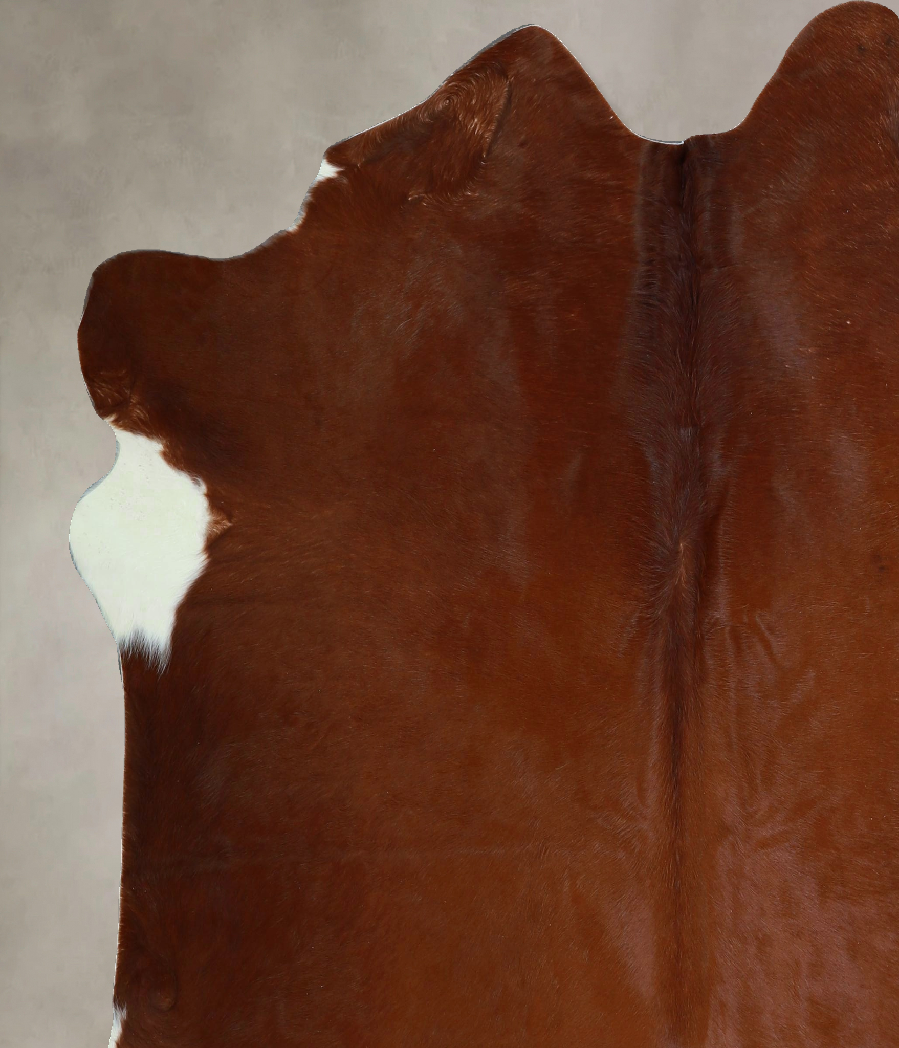 Solid Brown Cowhide Rug #A44715