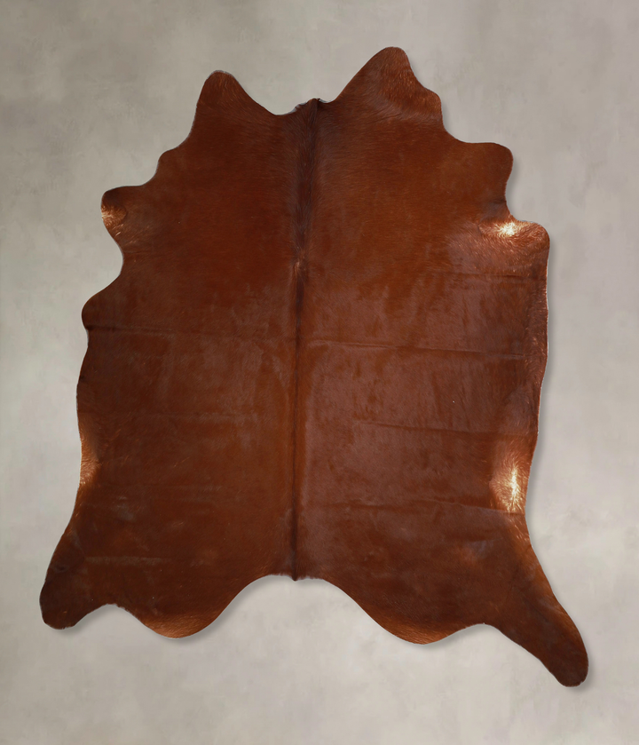 Solid Brown X-Large Brazilian Cowhide Rug 6'10"H x 6'8"W #A44733 by Hudson Hides