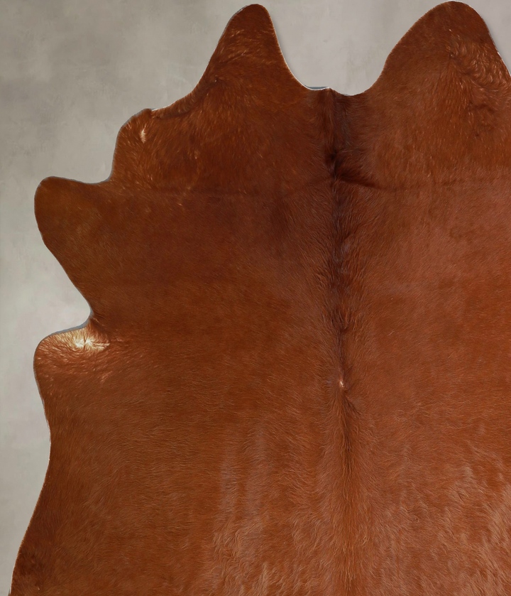 Solid Brown X-Large Brazilian Cowhide Rug 6'8"H x 6'3"W #A44734 by Hudson Hides