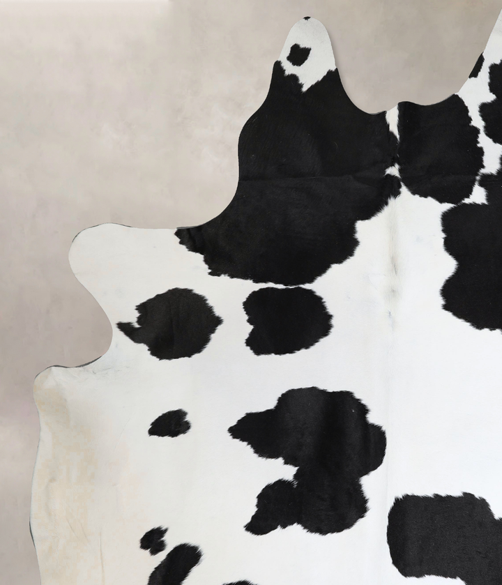 Black and White XX-Large Brazilian Cowhide Rug 8'8"H x 7'0"W #A44742 by Hudson Hides